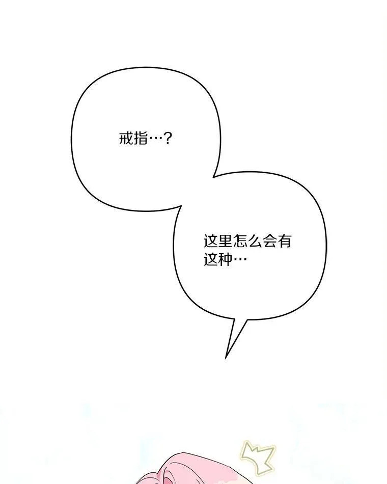 48.天空之冠的庇护111