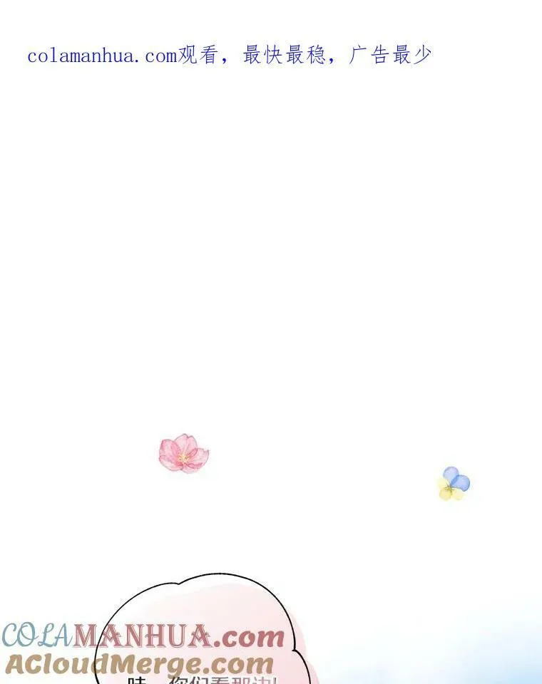 28.庇护能力0