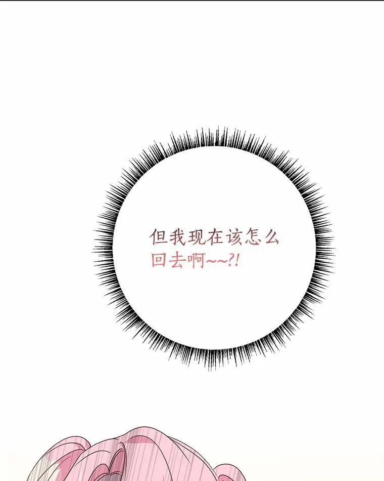 66.试试新庇护81