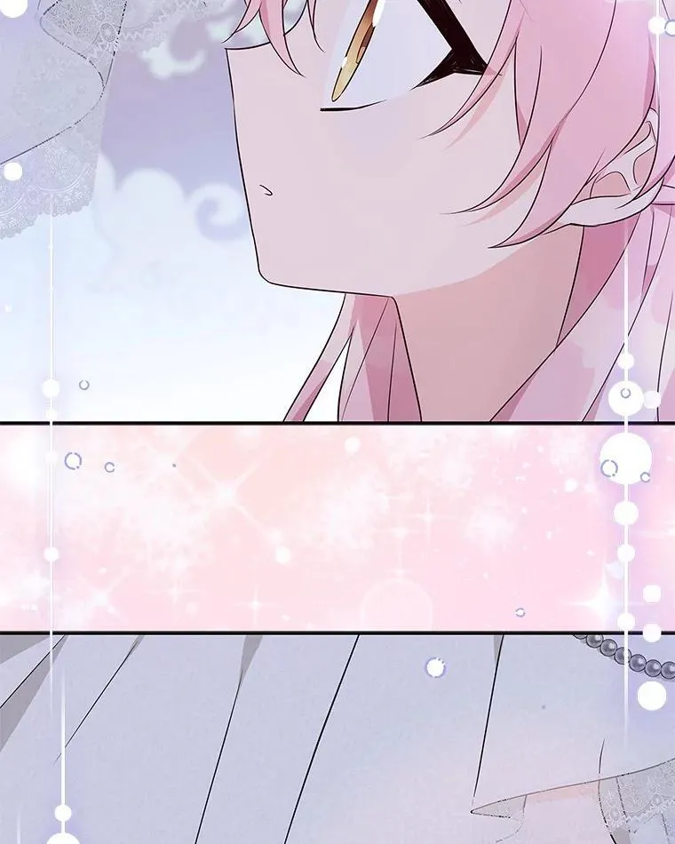 44.星之所在29