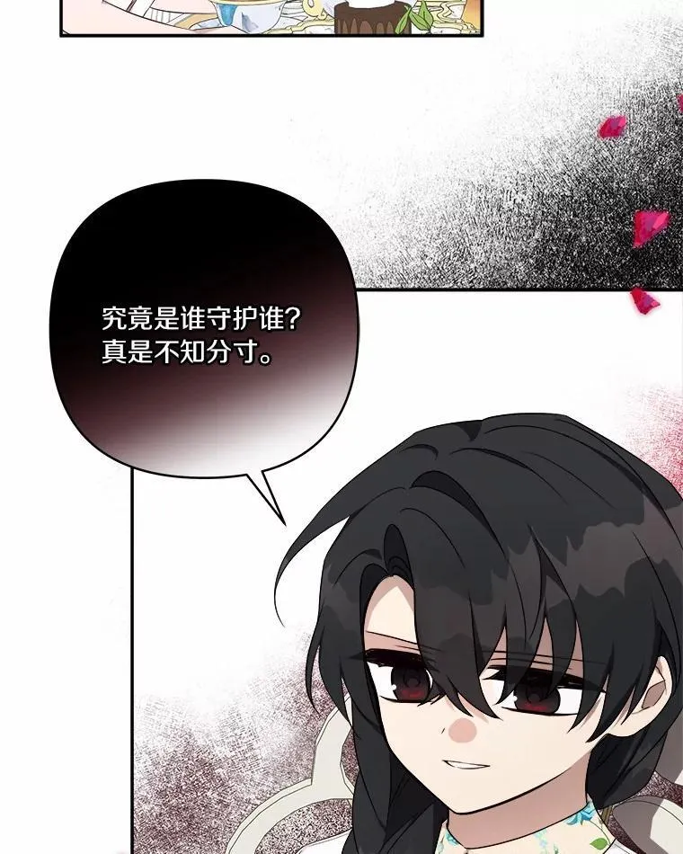 38.星星大人的庇护95