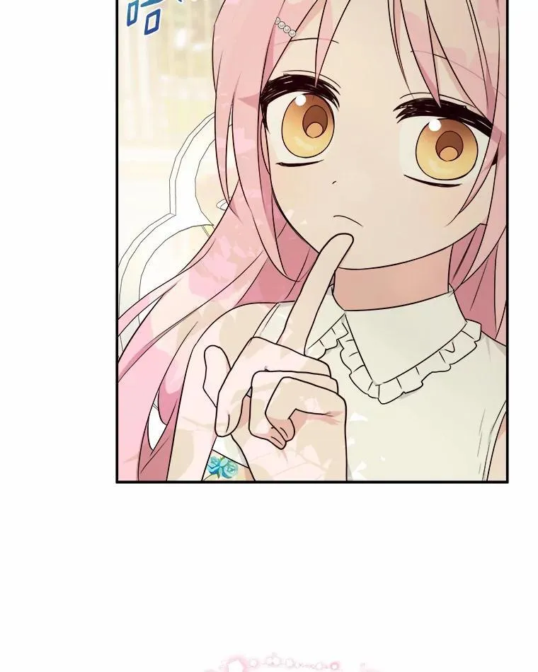 38.星星大人的庇护88