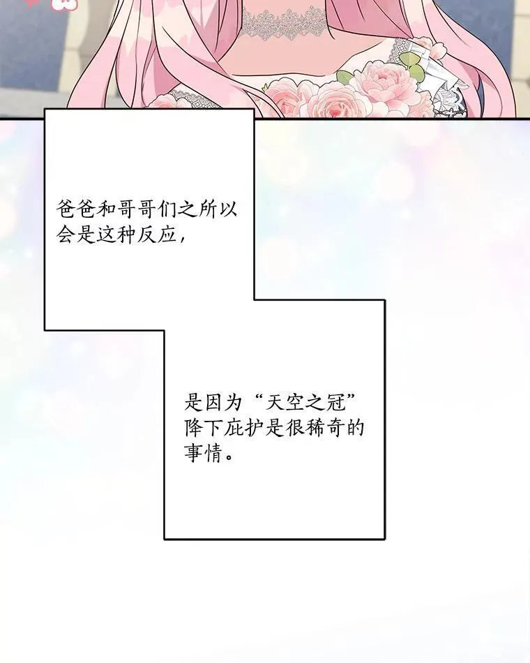 48.天空之冠的庇护38