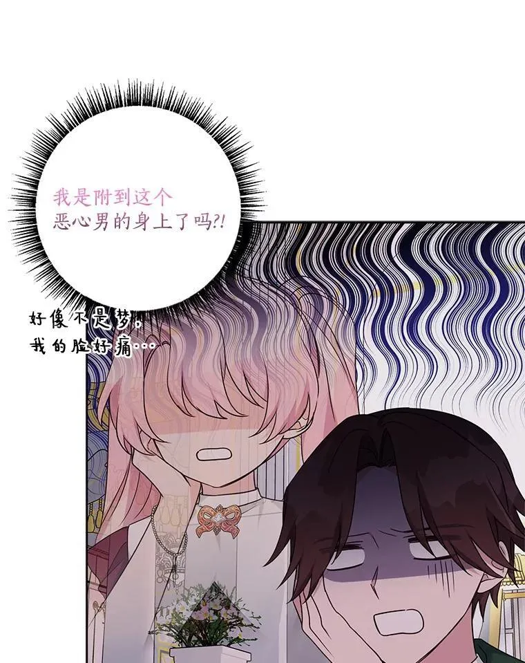 66.试试新庇护65