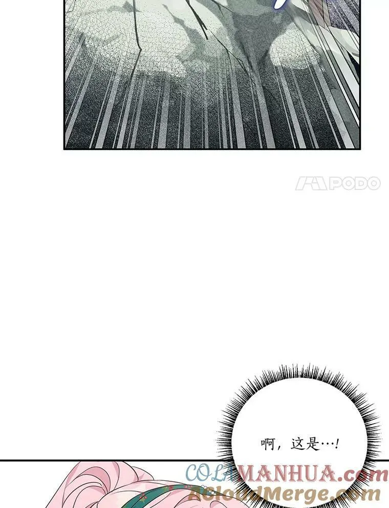 28.庇护能力68