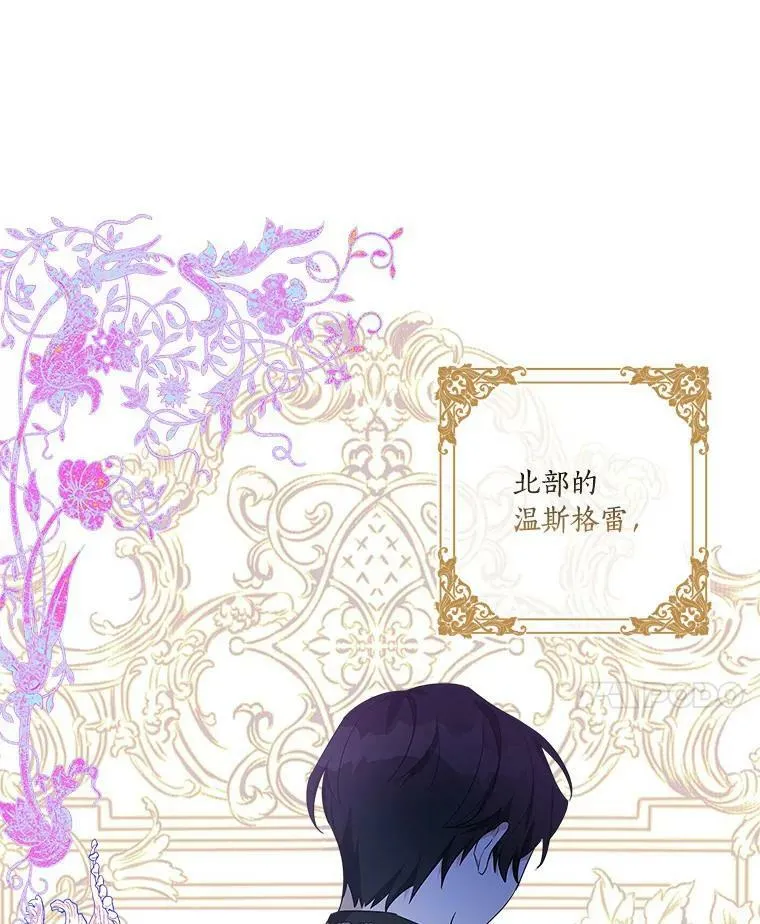 28.庇护能力37