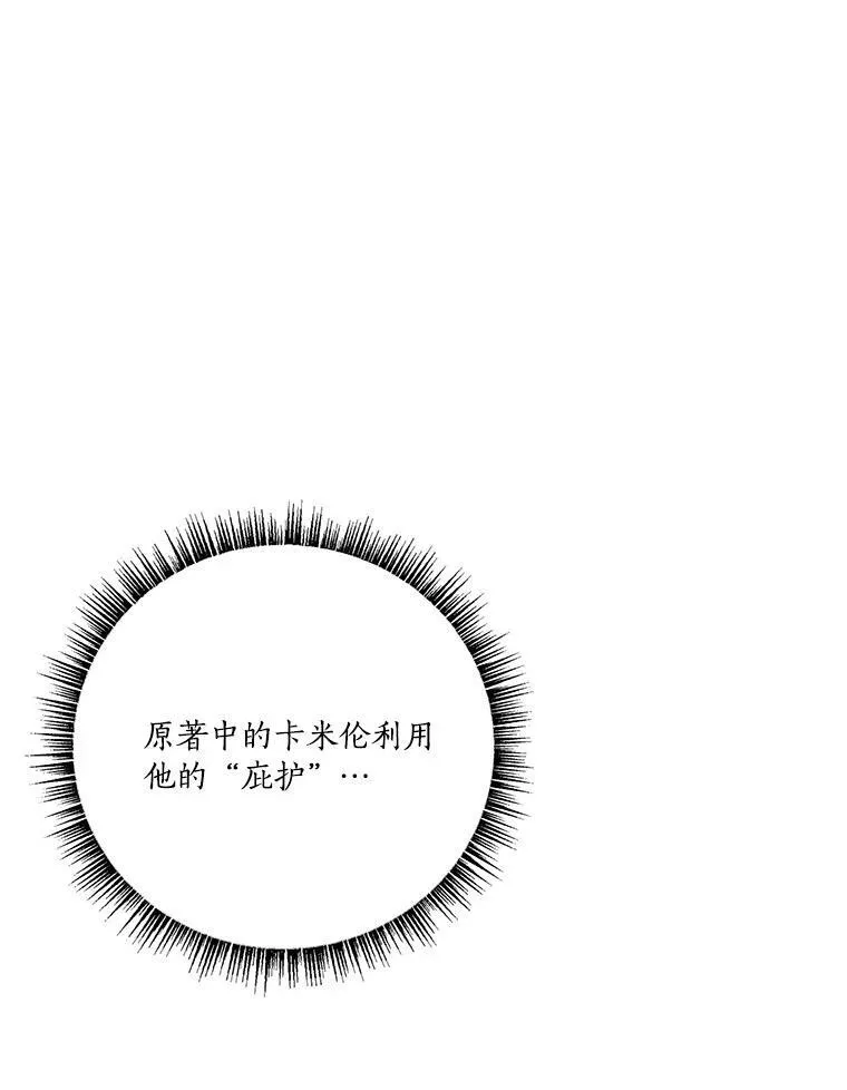 28.庇护能力97