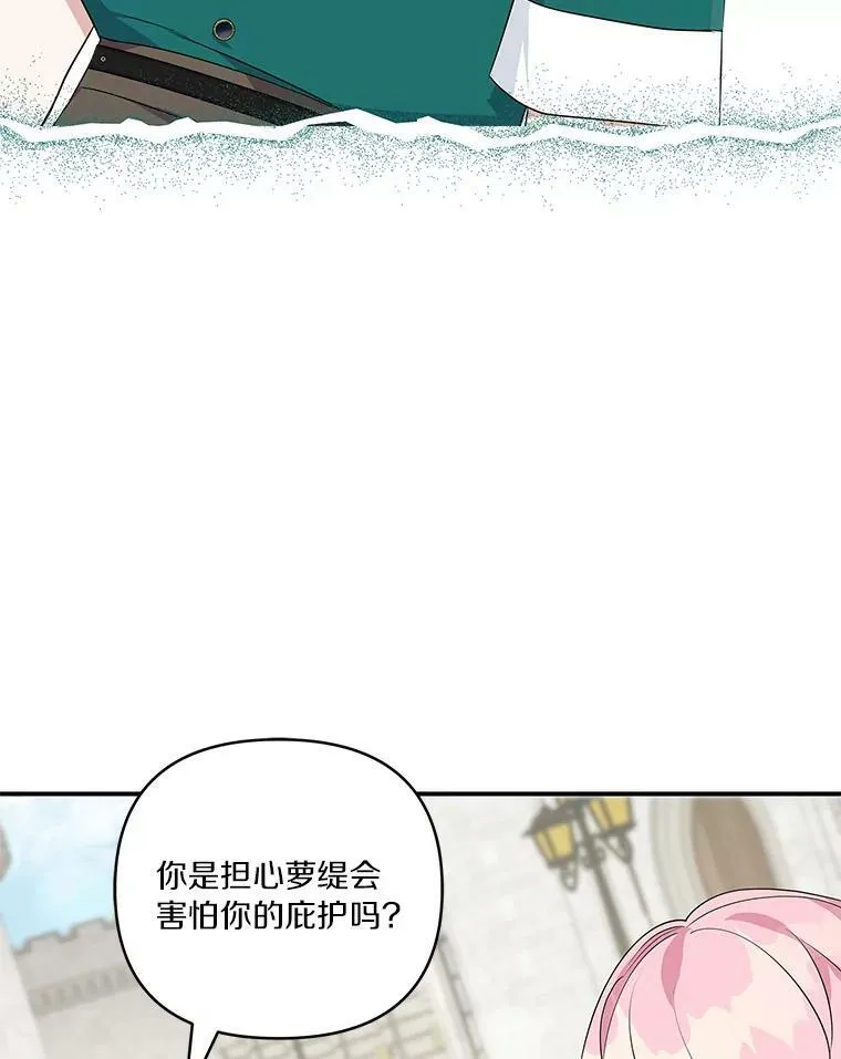 28.庇护能力109
