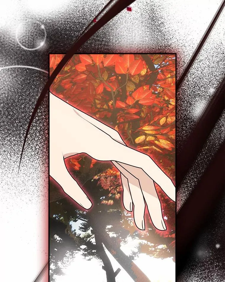 63.希望她幸福14
