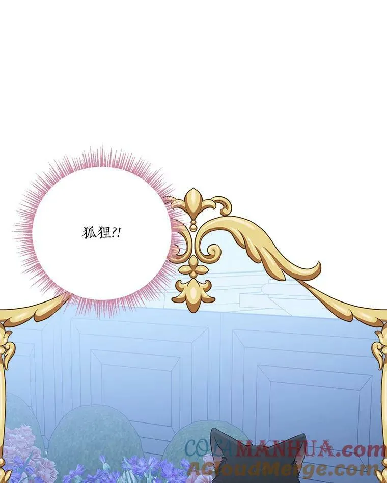 31.你喜欢的样子121
