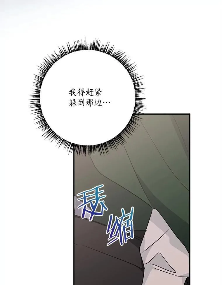 66.试试新庇护61