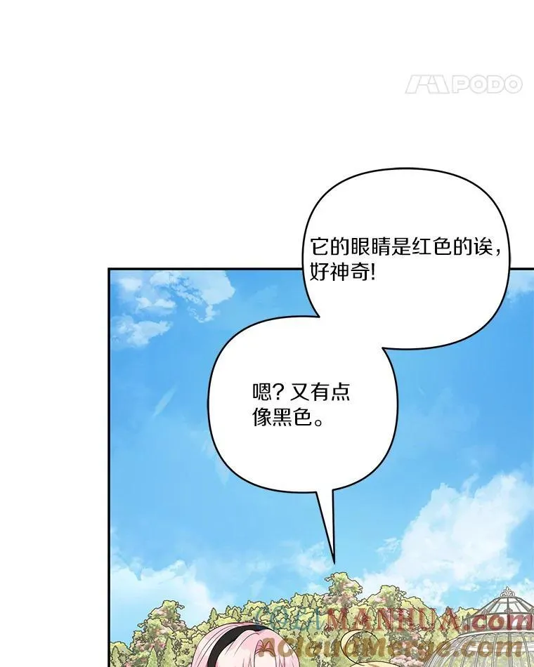 44.星之所在100