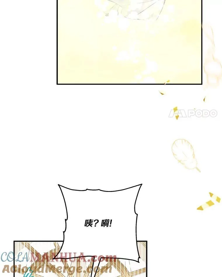 42.阳光精灵49