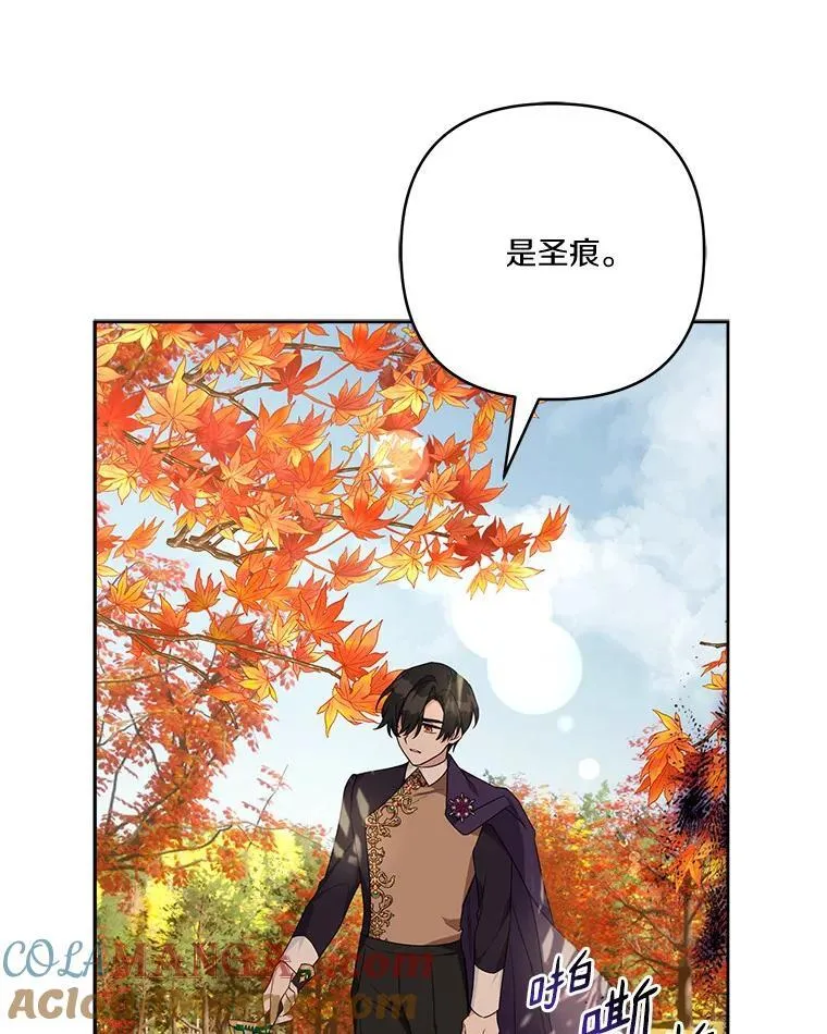 61.圣痕袭来16