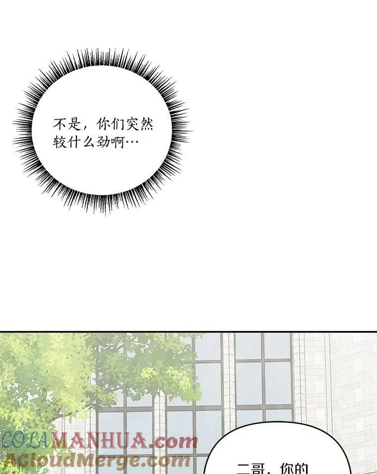 28.庇护能力80