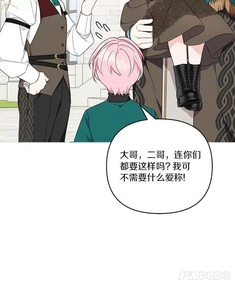 28.庇护能力119