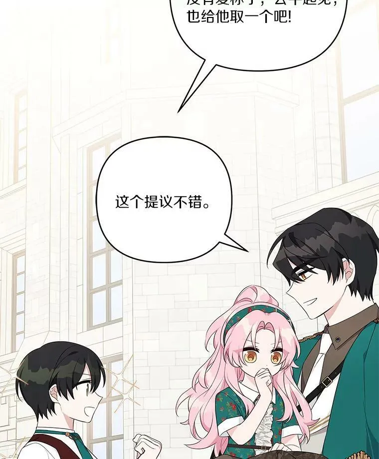 28.庇护能力118