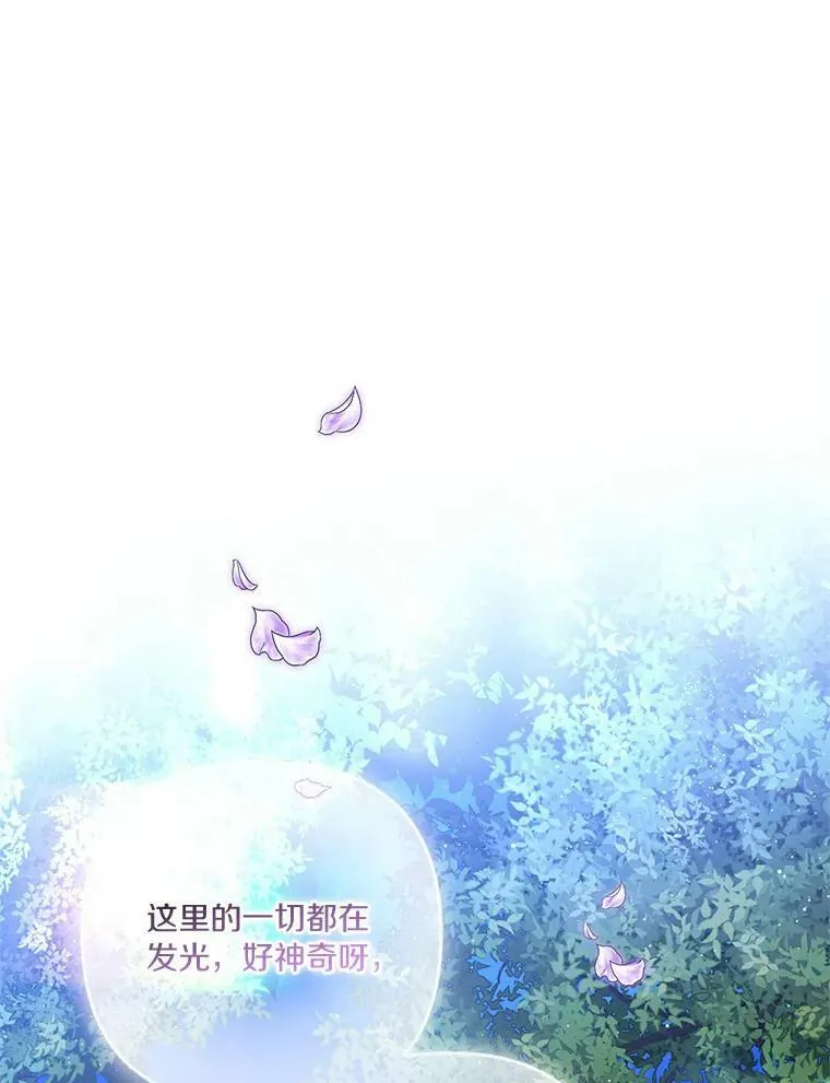 31.你喜欢的样子12