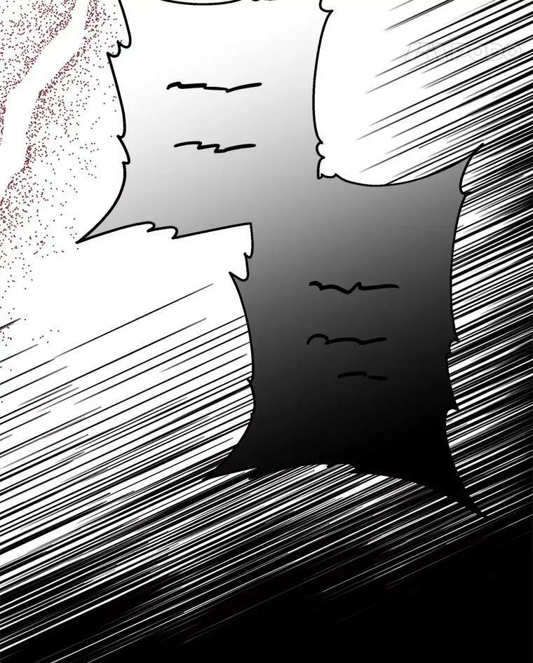 28.庇护能力149