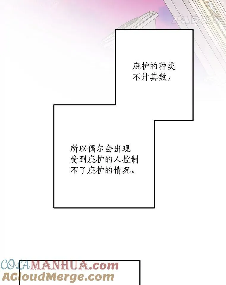 28.庇护能力112