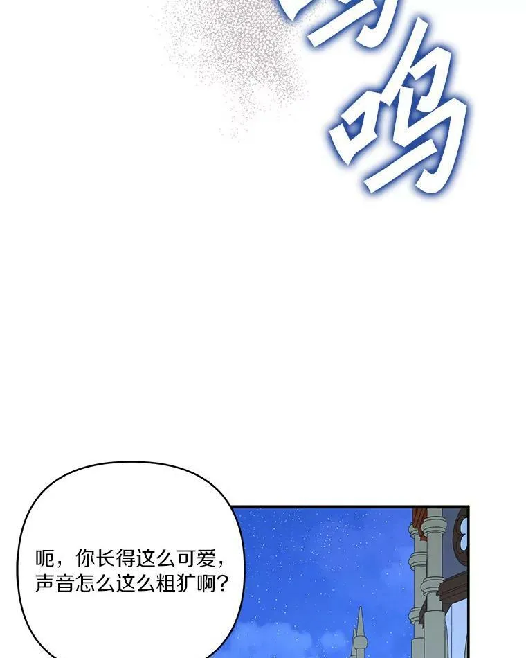 31.你喜欢的样子127