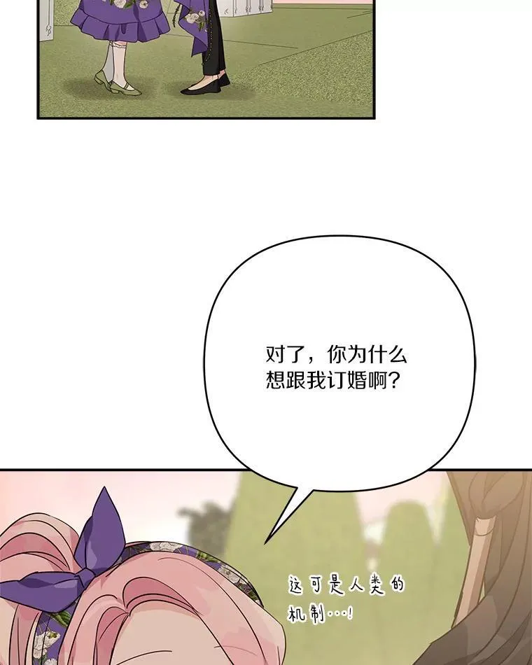 56.赠予庇护34