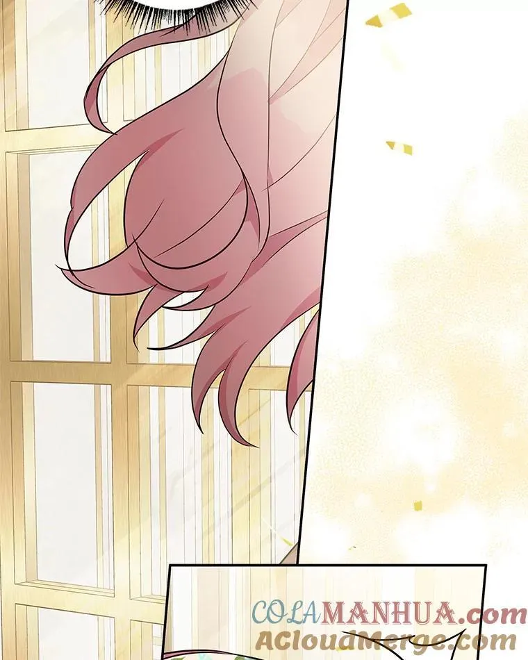 42.阳光精灵37