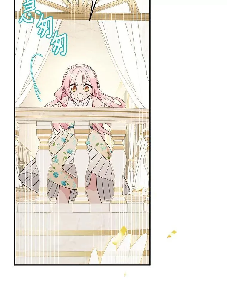 42.阳光精灵50