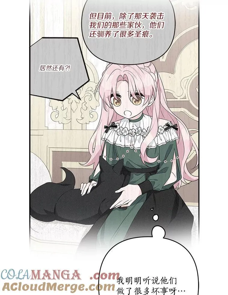 66.试试新庇护52
