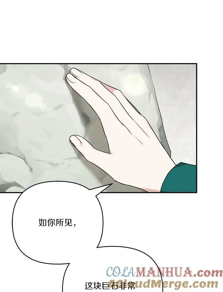 28.庇护能力64