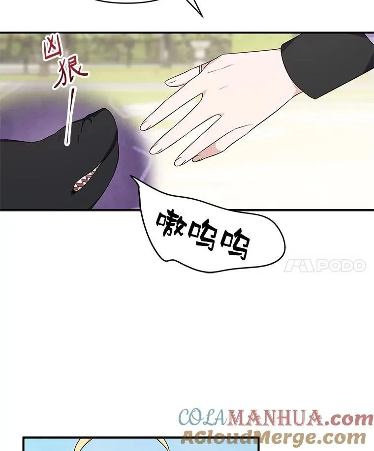 44.星之所在96