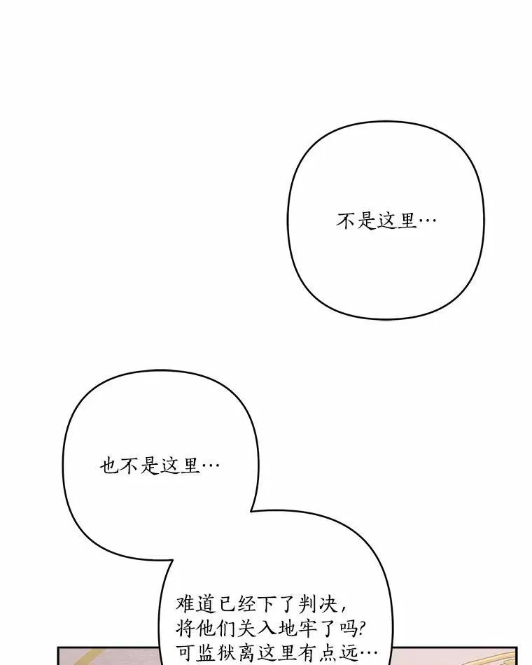 66.试试新庇护41