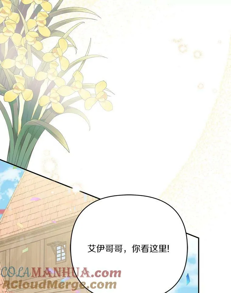 28.庇护能力12