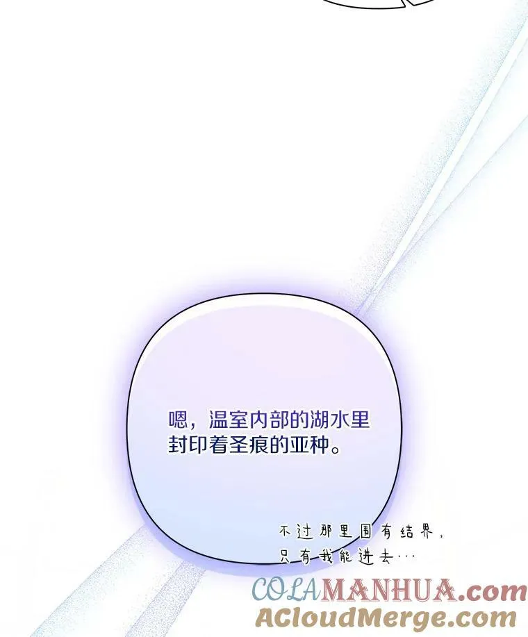 8.你又迷路了？13