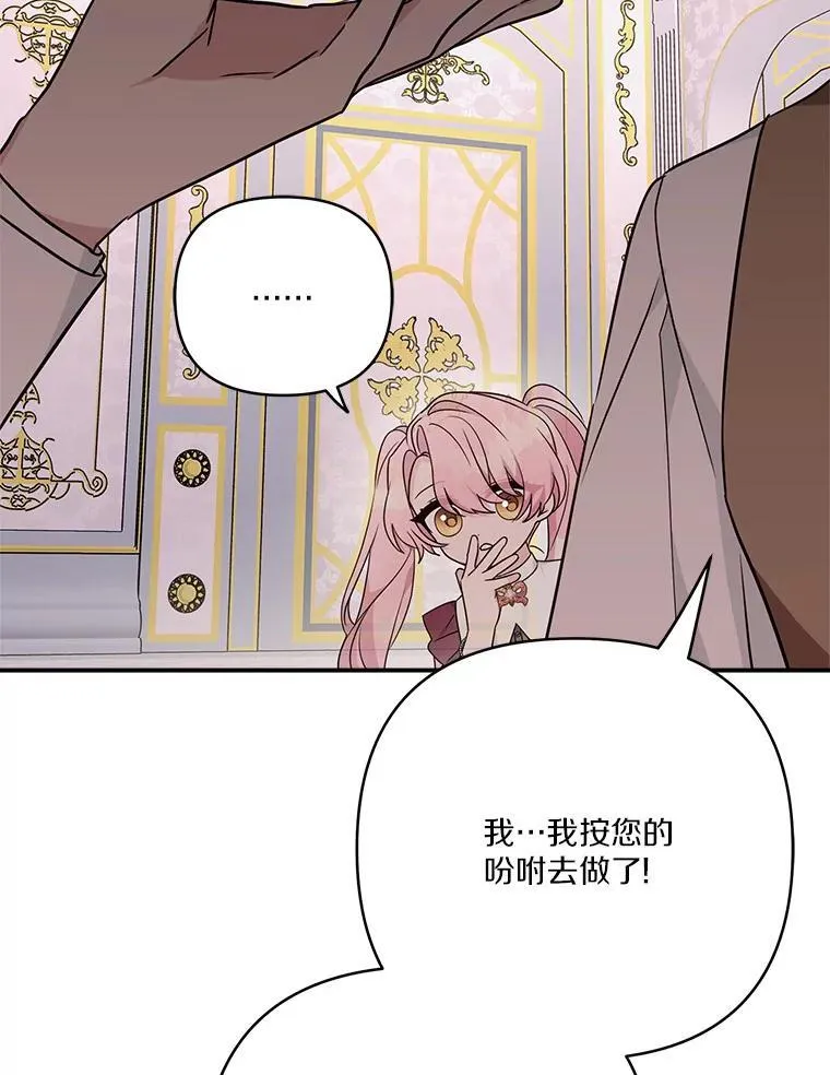 66.试试新庇护54