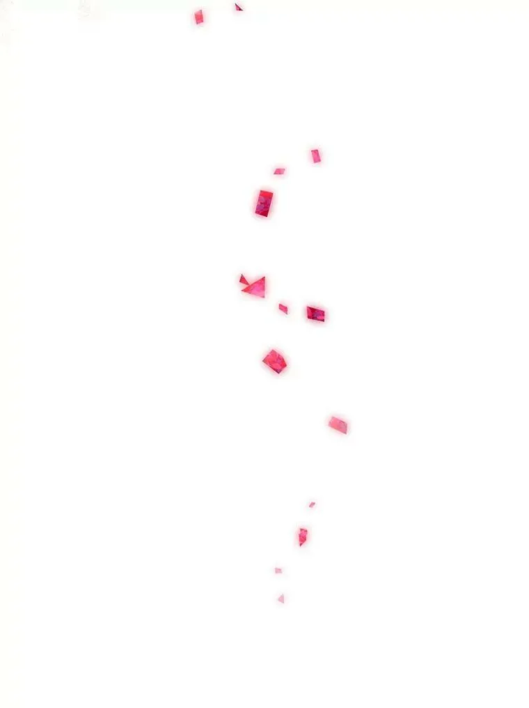 13.奇安的身份114