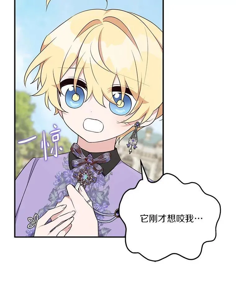 44.星之所在97