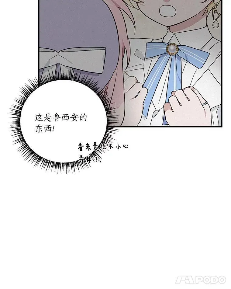 48.天空之冠的庇护113