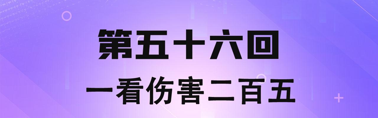 56回-一看伤害二百五3