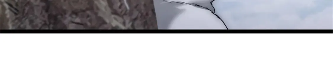 51 苏军的围剿79