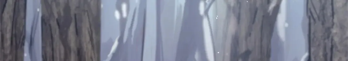 47 白色死神20