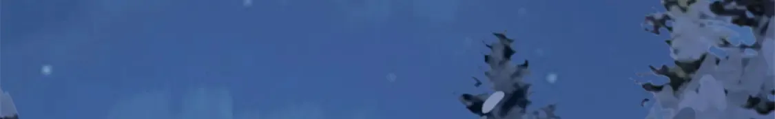 52 私下行动44