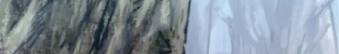 49 可恨的叛徒65