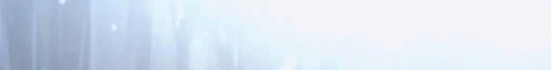 51 苏军的围剿58