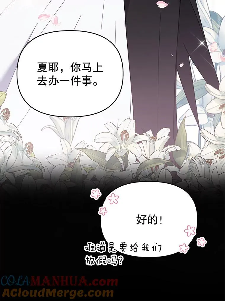 12.闪亮登场8