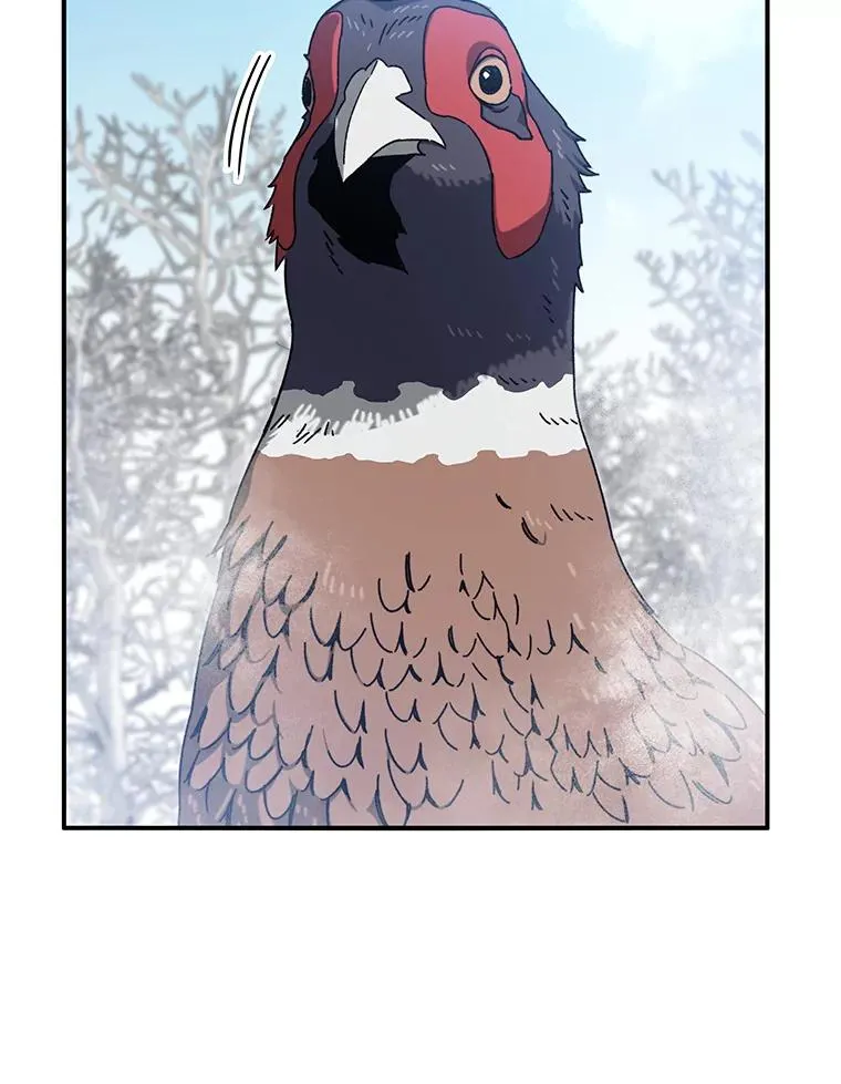 8.雪上小家41