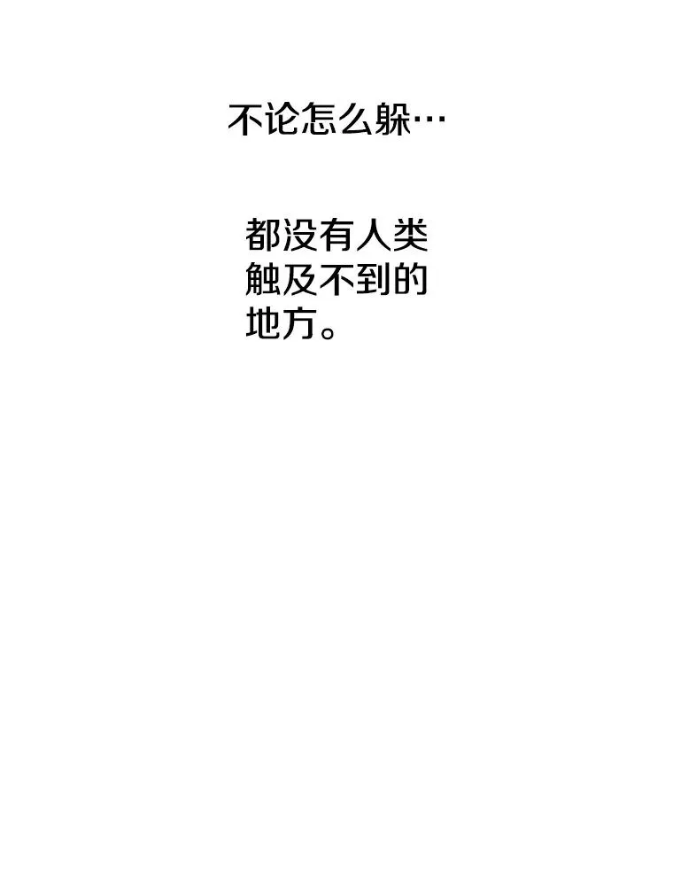 11.记忆坠崖51