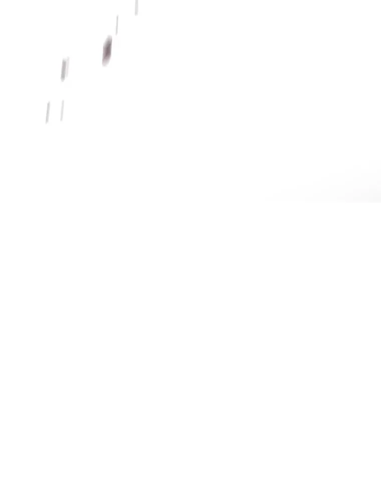 2.一言万绪62