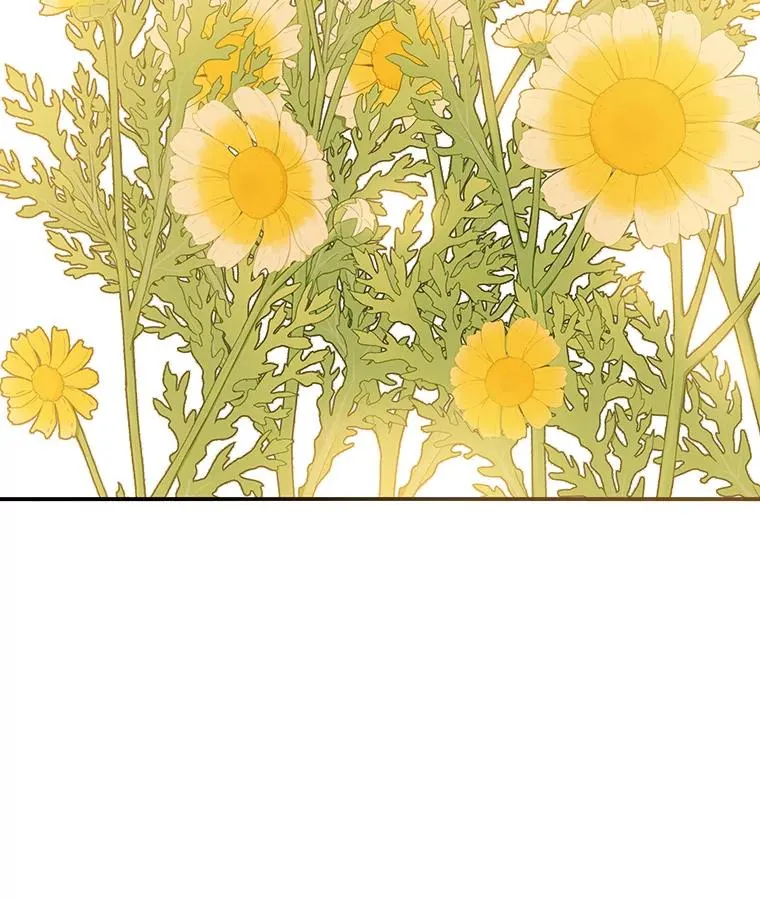 12.掌心的花114