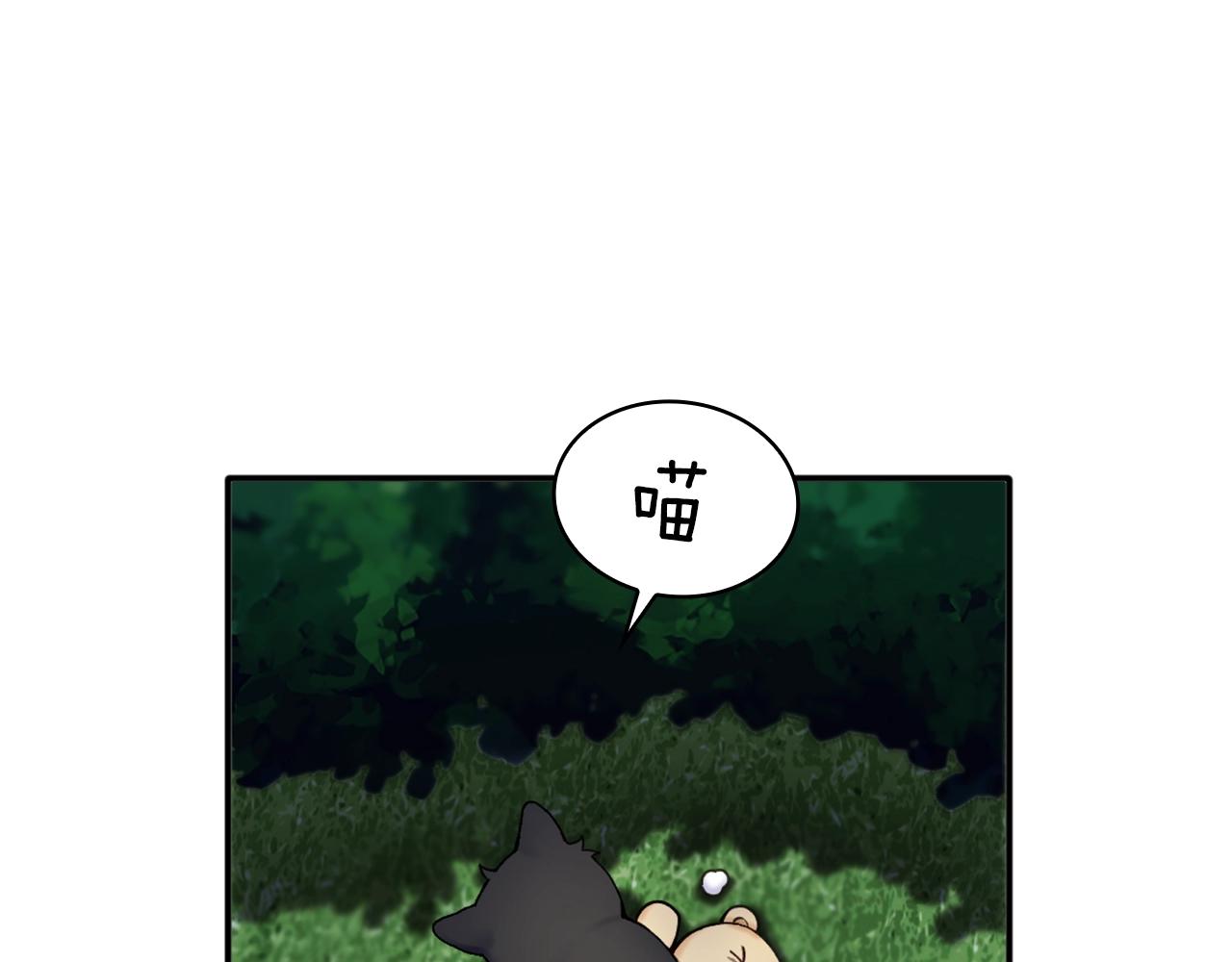 第9话 勇敢熊熊，不怕猫猫！39